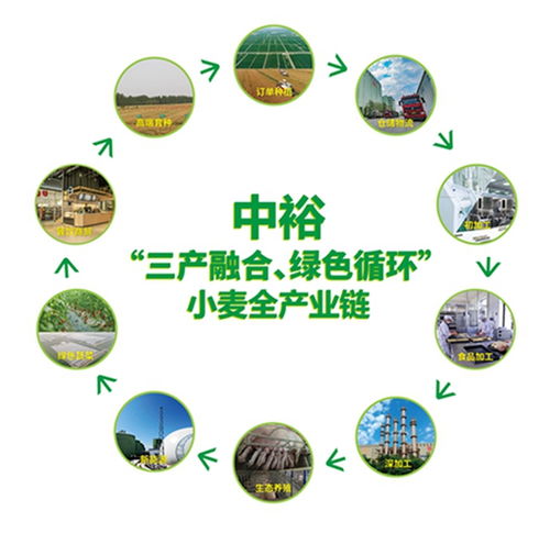 山東濱州 向綠向新，探索餐飲服務業高質量發展新路徑